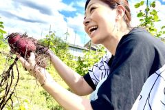 奈良市紅はるか