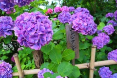 line_oa_chat_230701_163941