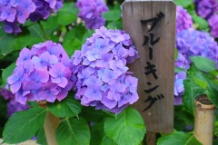 line_oa_chat_230701_163943