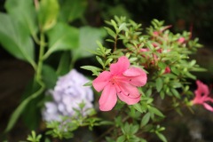 line_oa_chat_230701_163946
