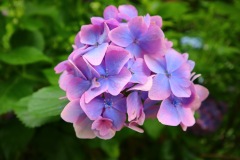 line_oa_chat_230701_163948