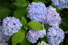 line_oa_chat_230701_163949