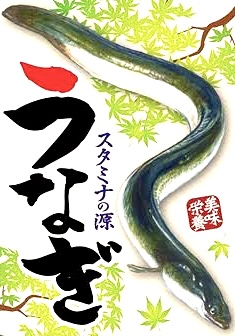 鰻