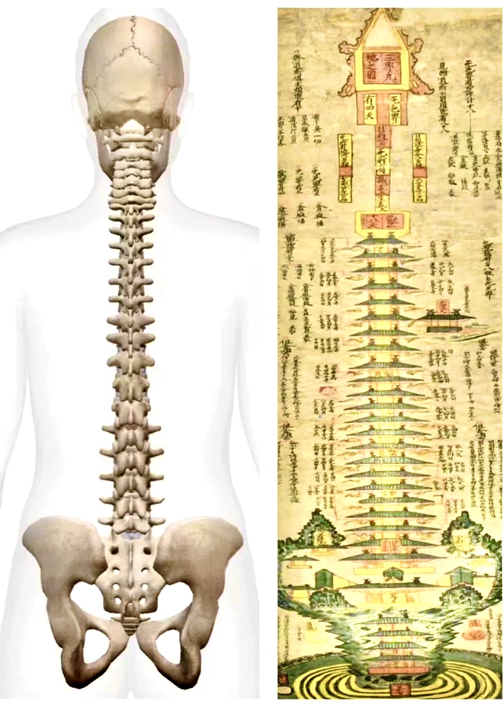 テンセグリティと免震構造